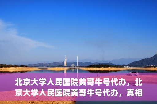 北京大学人民医院黄哥牛号代办，北京大学人民医院黄哥牛号代办，真相揭秘与深度解读
