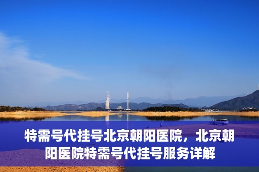 特需号代挂号北京朝阳医院，北京朝阳医院特需号代挂号服务详解
