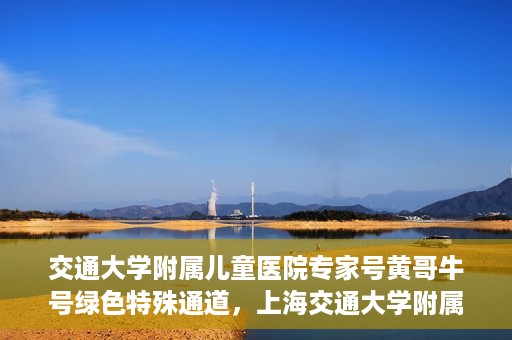 交通大学附属儿童医院专家号黄哥牛号绿色特殊通道，上海交通大学附属儿童医院专家号黄哥牛号，绿色特殊通道助您快速就医。