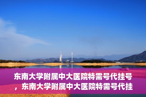 东南大学附属中大医院特需号代挂号，东南大学附属中大医院特需号代挂号服务详解