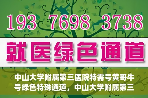 中山大学附属第三医院特需号黄哥牛号绿色特殊通道，中山大学附属第三医院特需号黄哥牛号绿色通道，专业医疗服务的特殊通道探索