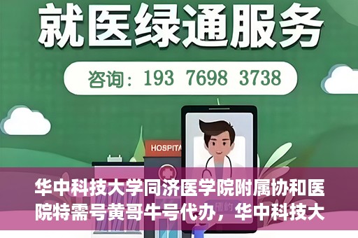 华中科技大学同济医学院附属协和医院特需号黄哥牛号代办，华中科技大学同济医学院附属协和医院特需号专家预约代办服务解析