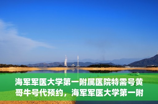 海军军医大学第一附属医院特需号黄哥牛号代预约，海军军医大学第一附属医院特需号专家预约服务解析，黄哥牛号预约攻略揭秘