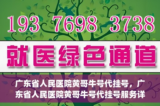 广东省人民医院黄哥牛号代挂号，广东省人民医院黄哥牛号代挂号服务详解