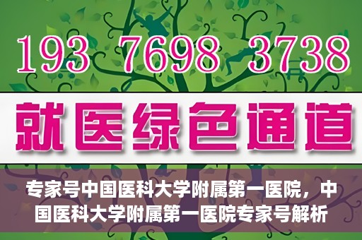专家号中国医科大学附属第一医院，中国医科大学附属第一医院专家号解析，权威医疗团队引领健康新篇章
