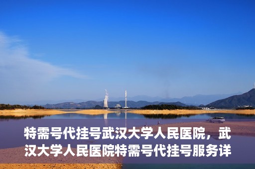 特需号代挂号武汉大学人民医院，武汉大学人民医院特需号代挂号服务详解