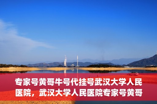 专家号黄哥牛号代挂号武汉大学人民医院，武汉大学人民医院专家号黄哥牛号代挂号解析