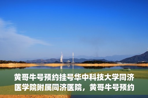 黄哥牛号预约挂号华中科技大学同济医学院附属同济医院，黄哥牛号预约挂号服务，华中科技大学同济医学院附属同济医院便捷就医新体验