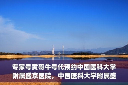 专家号黄哥牛号代预约中国医科大学附属盛京医院，中国医科大学附属盛京医院专家号黄哥牛号代预约服务解析