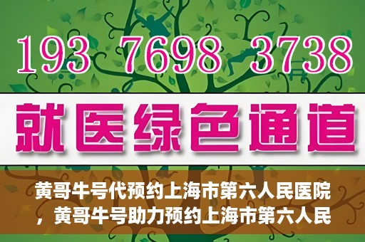 黄哥牛号代预约上海市第六人民医院，黄哥牛号助力预约上海市第六人民医院服务