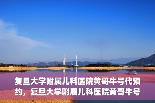 复旦大学附属儿科医院黄哥牛号代预约，复旦大学附属儿科医院黄哥牛号预约服务解析