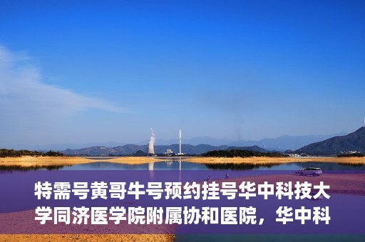 特需号黄哥牛号预约挂号华中科技大学同济医学院附属协和医院，华中科技大学同济医学院附属协和医院特需号黄哥牛号预约挂号服务启动