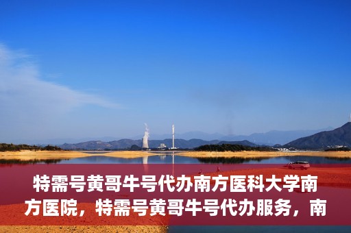特需号黄哥牛号代办南方医科大学南方医院，特需号黄哥牛号代办服务，南方医科大学南方医院就医指南