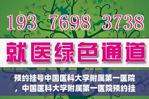 预约挂号中国医科大学附属第一医院，中国医科大学附属第一医院预约挂号系统启动，一站式服务助您轻松就医
