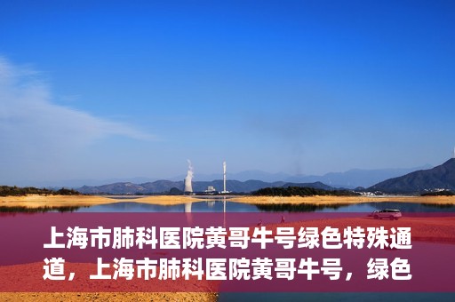 上海市肺科医院黄哥牛号绿色特殊通道，上海市肺科医院黄哥牛号，绿色特殊通道开启健康之门