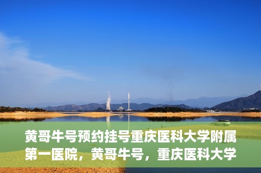 黄哥牛号预约挂号重庆医科大学附属第一医院，黄哥牛号，重庆医科大学附属第一医院预约挂号服务开启