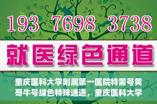 重庆医科大学附属第一医院特需号黄哥牛号绿色特殊通道，重庆医科大学附属第一医院特需号黄哥牛号，绿色特殊通道揭秘