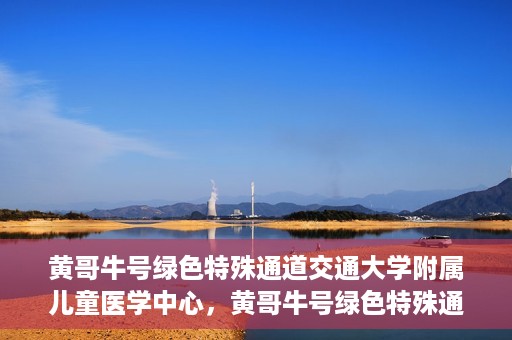 黄哥牛号绿色特殊通道交通大学附属儿童医学中心，黄哥牛号绿色特殊通道，交通大学附属儿童医学中心探访之旅
