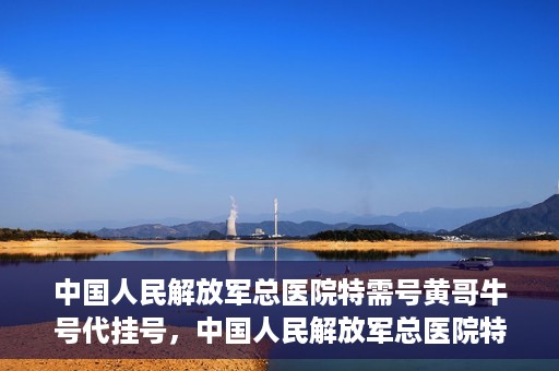 中国人民解放军总医院特需号黄哥牛号代挂号，中国人民解放军总医院特需号专家黄哥挂号攻略，专业代挂号服务解析