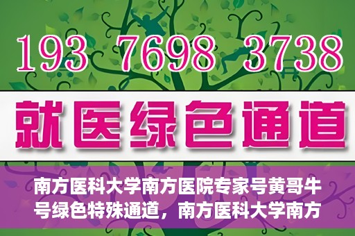 南方医科大学南方医院专家号黄哥牛号绿色特殊通道，南方医科大学南方医院专家黄哥牛号，绿色特殊通道的健康守护者