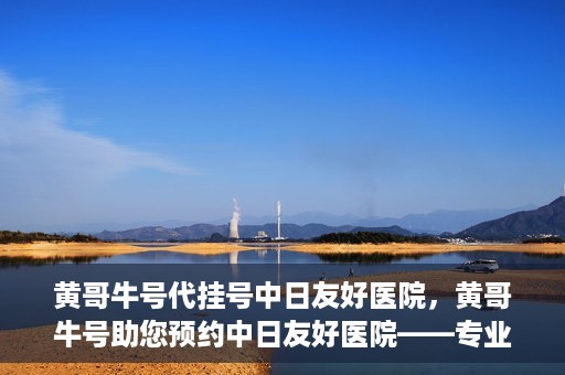 黄哥牛号代挂号中日友好医院，黄哥牛号助您预约中日友好医院——专业代挂号服务