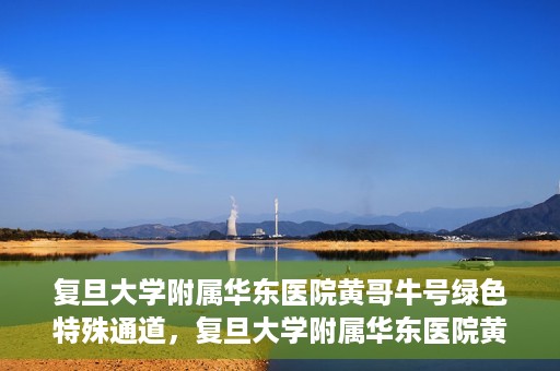 复旦大学附属华东医院黄哥牛号绿色特殊通道，复旦大学附属华东医院黄哥牛号，绿色特殊通道开启健康之门
