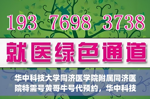 华中科技大学同济医学院附属同济医院特需号黄哥牛号代预约，华中科技大学同济医院特需号预约专家黄哥牛号揭秘