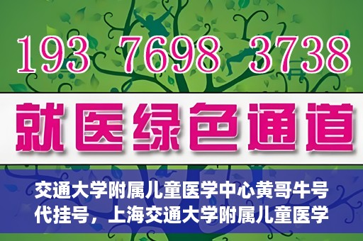 交通大学附属儿童医学中心黄哥牛号代挂号，上海交通大学附属儿童医学中心黄哥牛号代挂号解析与攻略
