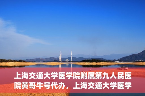 上海交通大学医学院附属第九人民医院黄哥牛号代办，上海交通大学医学院附属第九人民医院黄哥牛号业务代办攻略