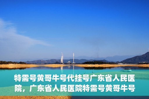 特需号黄哥牛号代挂号广东省人民医院，广东省人民医院特需号黄哥牛号代挂号服务解析
