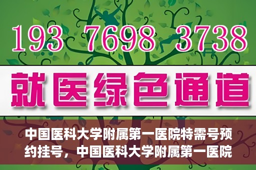 中国医科大学附属第一医院特需号预约挂号，中国医科大学附属第一医院特需号预约挂号服务详解