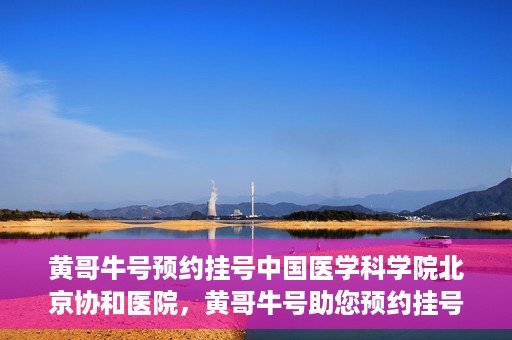 黄哥牛号预约挂号中国医学科学院北京协和医院，黄哥牛号助您预约挂号，协和医学权威等你体验