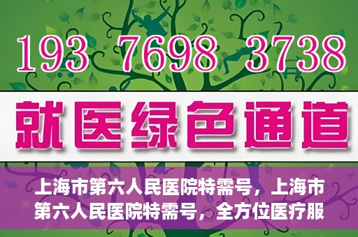 上海市第六人民医院特需号，上海市第六人民医院特需号，全方位医疗服务的深度解读