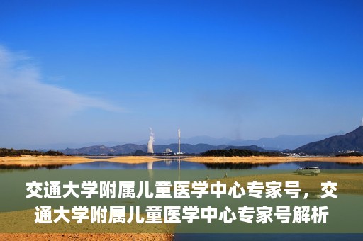 交通大学附属儿童医学中心专家号，交通大学附属儿童医学中心专家号解析，权威专家团队守护儿童健康之路