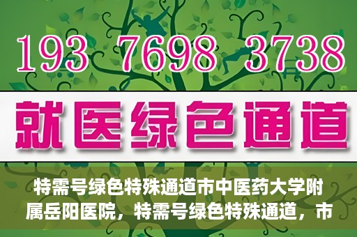 特需号绿色特殊通道市中医药大学附属岳阳医院，特需号绿色特殊通道，市中医药大学附属岳阳医院的医疗特色与优势