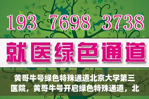 黄哥牛号绿色特殊通道北京大学第三医院，黄哥牛号开启绿色特殊通道，北京大学第三医院助力健康新篇章