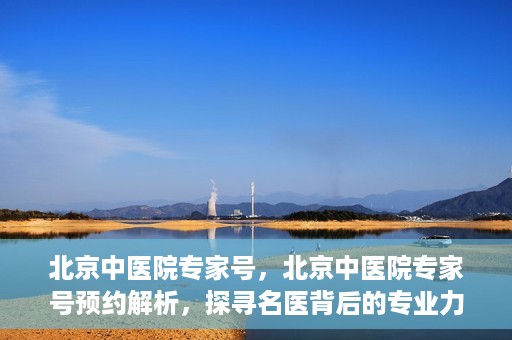 北京中医院专家号，北京中医院专家号预约解析，探寻名医背后的专业力量