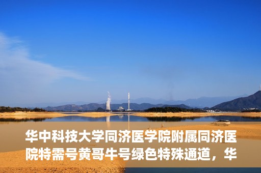 华中科技大学同济医学院附属同济医院特需号黄哥牛号绿色特殊通道，华中科技大学同济医院特需号黄哥牛号绿色就医通道揭秘
