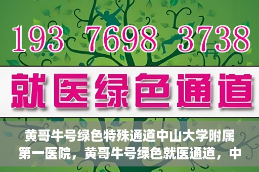 黄哥牛号绿色特殊通道中山大学附属第一医院，黄哥牛号绿色就医通道，中山大学附属第一医院的实践探索