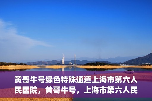 黄哥牛号绿色特殊通道上海市第六人民医院，黄哥牛号，上海市第六人民医院绿色特殊通道揭秘