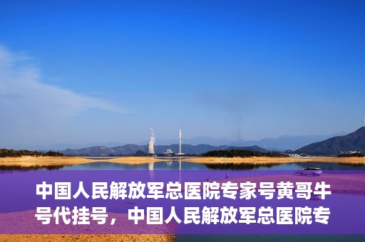 中国人民解放军总医院专家号黄哥牛号代挂号，中国人民解放军总医院专家号黄哥牛号代挂号服务解析