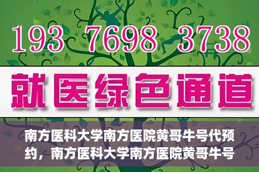 南方医科大学南方医院黄哥牛号代预约，南方医科大学南方医院黄哥牛号预约服务解析
