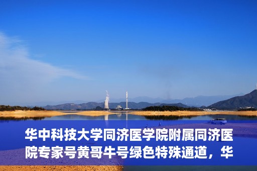 华中科技大学同济医学院附属同济医院专家号黄哥牛号绿色特殊通道，华中科技大学同济医院专家号黄哥牛号，绿色特殊通道揭秘