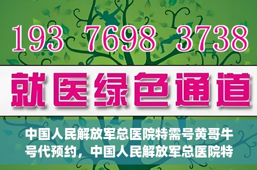 中国人民解放军总医院特需号黄哥牛号代预约，中国人民解放军总医院特需号专家预约服务解析，黄哥牛号预约详解