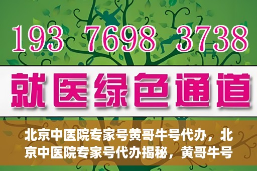 北京中医院专家号黄哥牛号代办，北京中医院专家号代办揭秘，黄哥牛号背后的故事