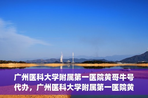广州医科大学附属第一医院黄哥牛号代办，广州医科大学附属第一医院黄哥牛号挂号代办攻略