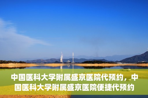 中国医科大学附属盛京医院代预约，中国医科大学附属盛京医院便捷代预约服务解析