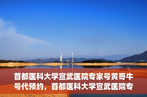 首都医科大学宣武医院专家号黄哥牛号代预约，首都医科大学宣武医院专家号黄哥牛号预约服务解析