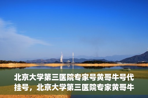北京大学第三医院专家号黄哥牛号代挂号，北京大学第三医院专家黄哥牛号——专业代挂号服务