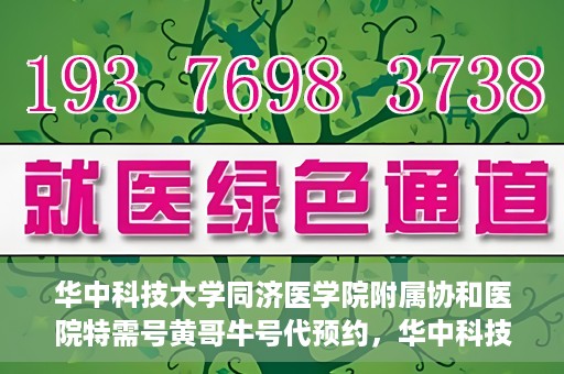 华中科技大学同济医学院附属协和医院特需号黄哥牛号代预约，华中科技大学同济医学院附属协和医院特需号预约服务解析，黄哥牛号预约详解